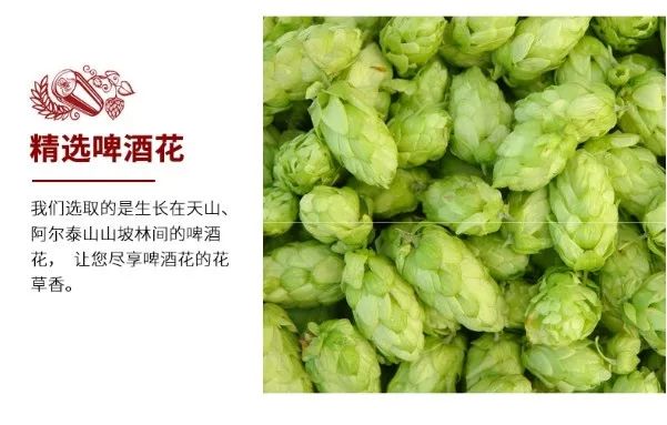 凯撒原樽1729黄啤45元箱24罐畅饮