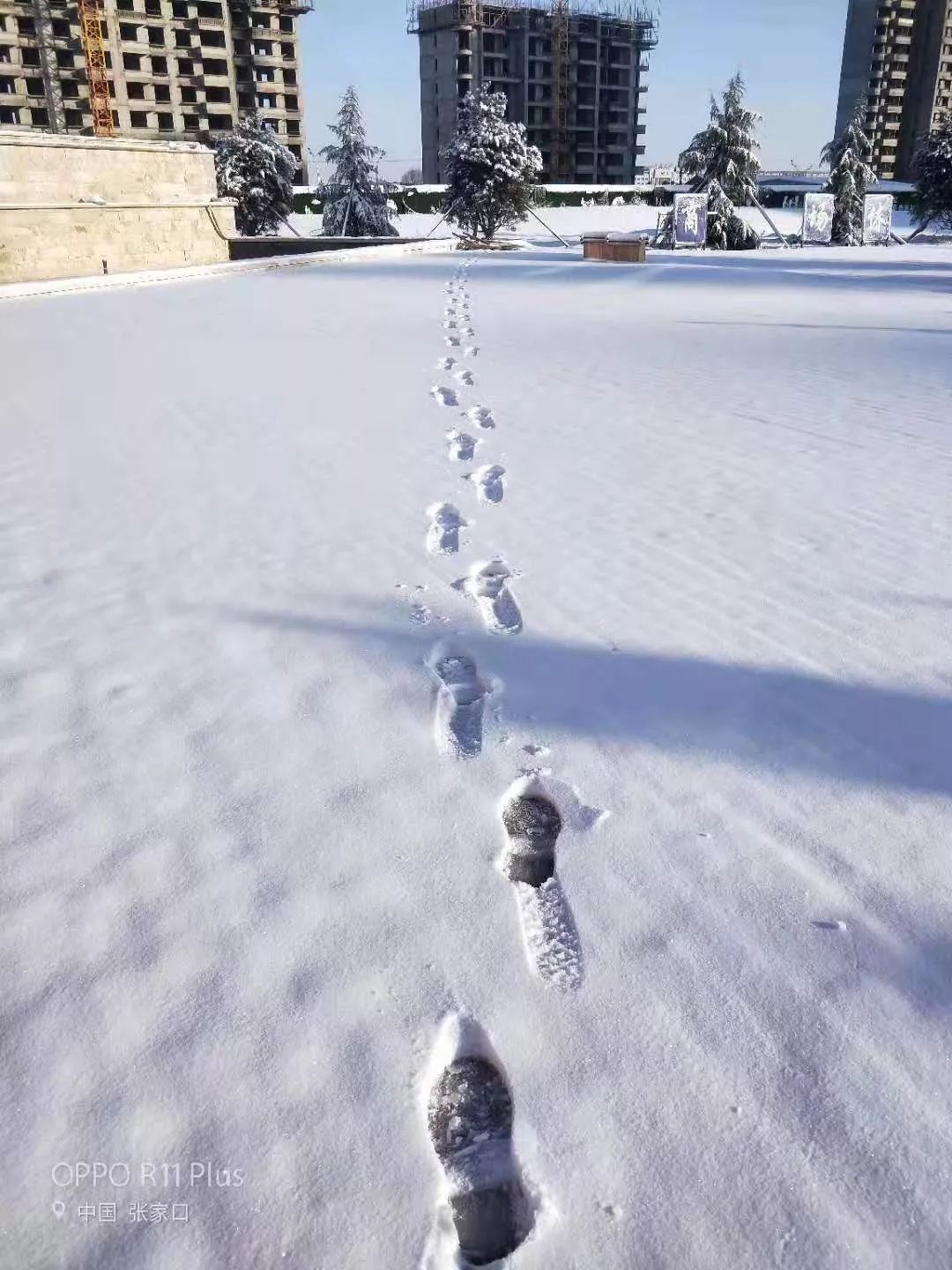 下雪颳風大降溫,冷豔絕倫!