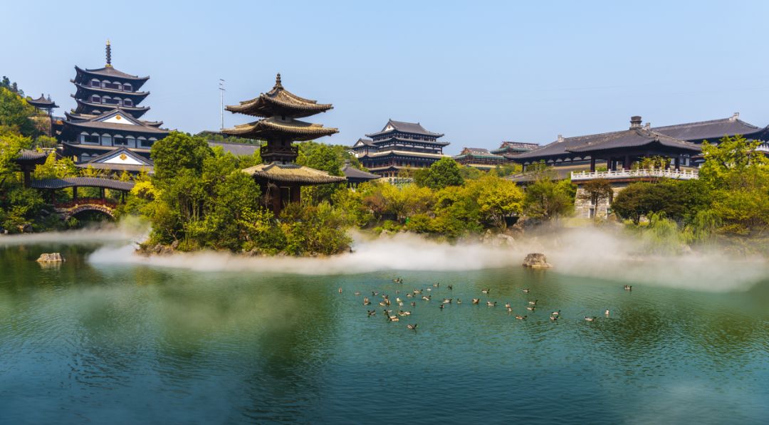 根宫佛国金秋福利大放送