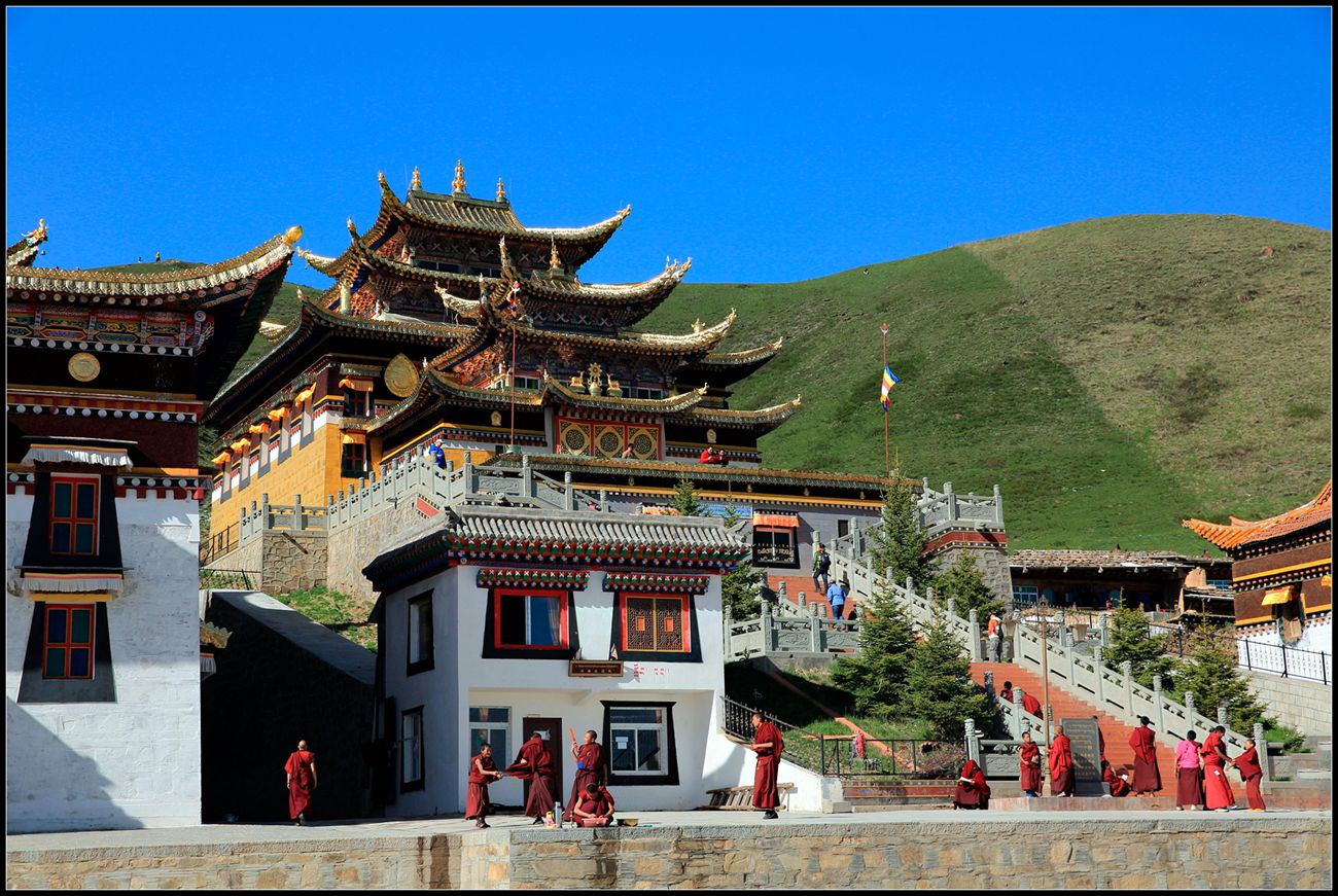 若尔盖县大自然的栖息地拍照旅行胜地