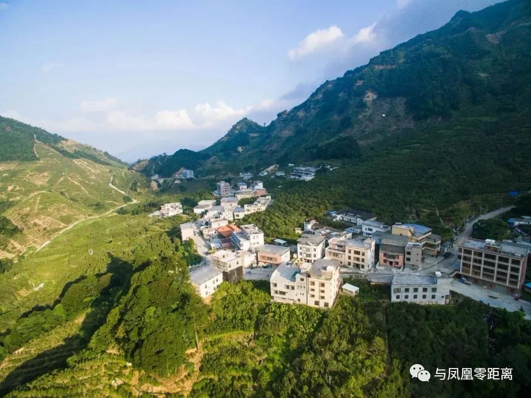 大庵村,坐落于凤凰镇政府驻地西北方向9公里处.