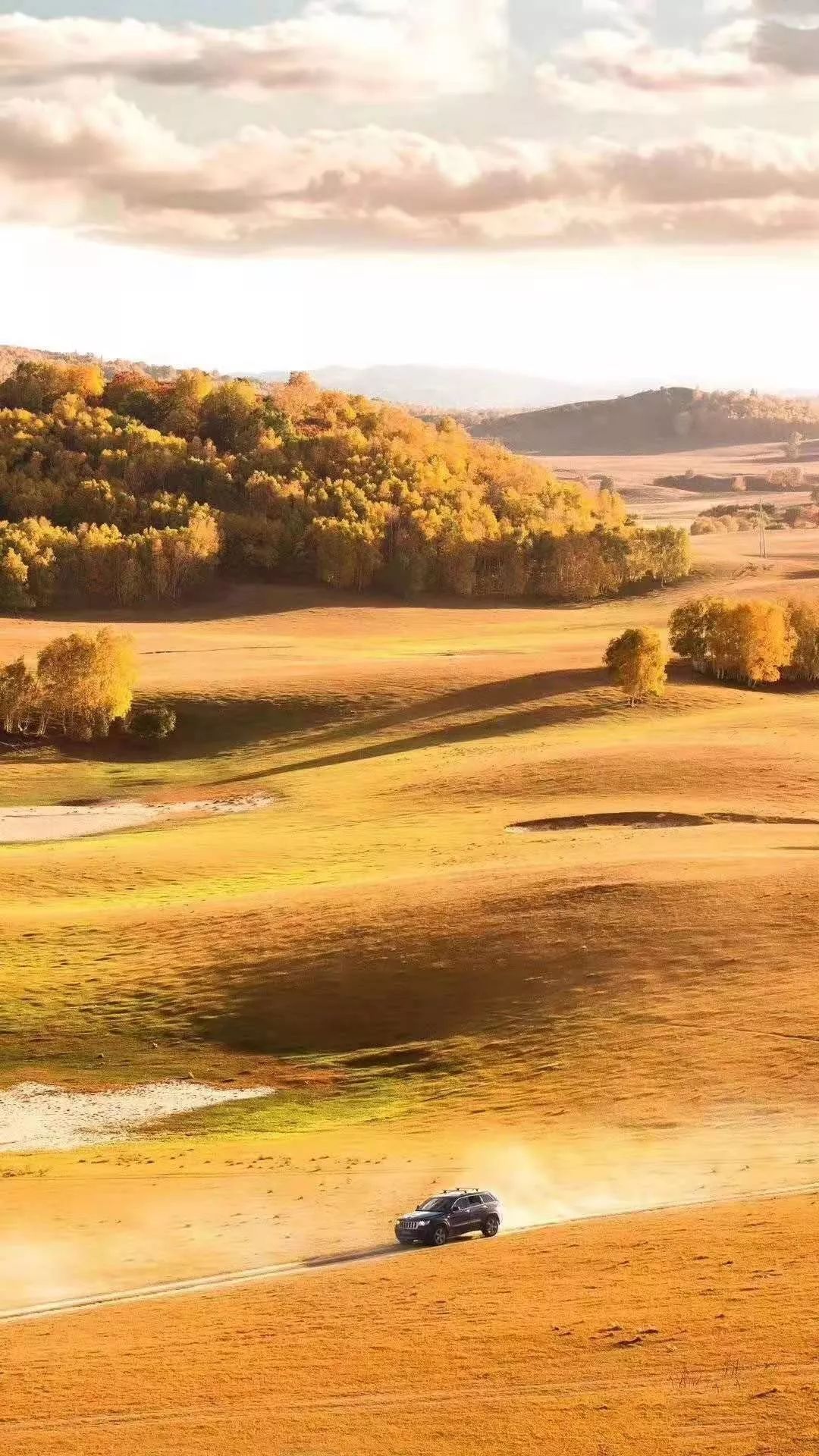 卡羅琳.坎貝爾與威廉.約瑟夫合作演奏的這首《fields of