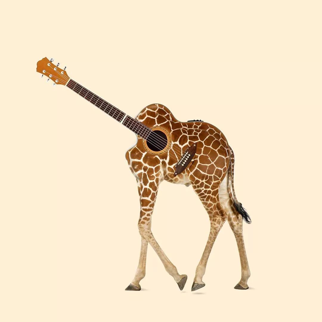 同样是玩拼贴这位法国艺术家却玩出了一个新的动物世界