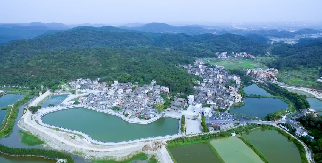 第一书记代言蓬江区棠下镇良溪村悠悠古村传新韵