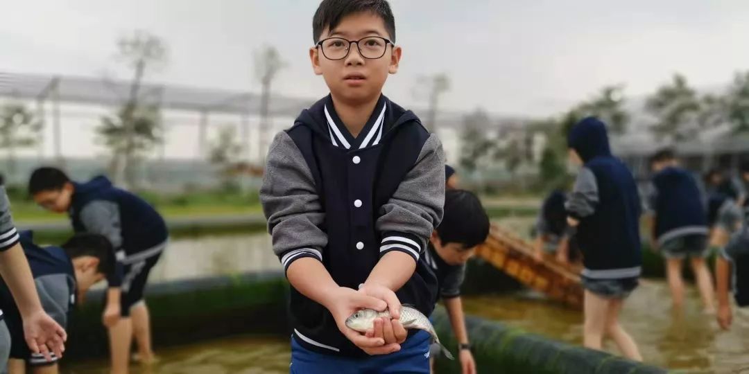 米果果学农记二