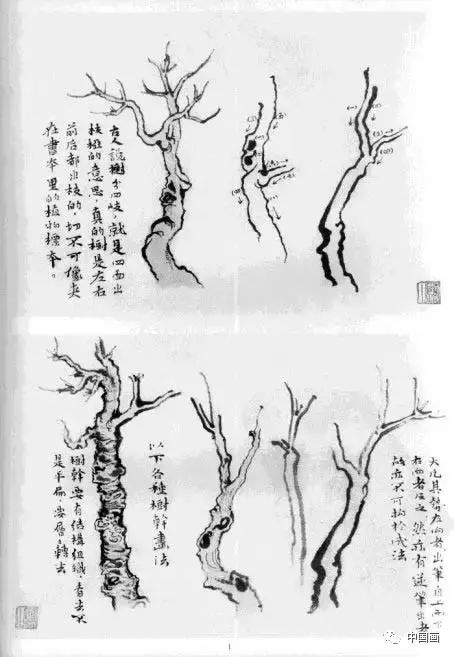 画家老树介绍图片