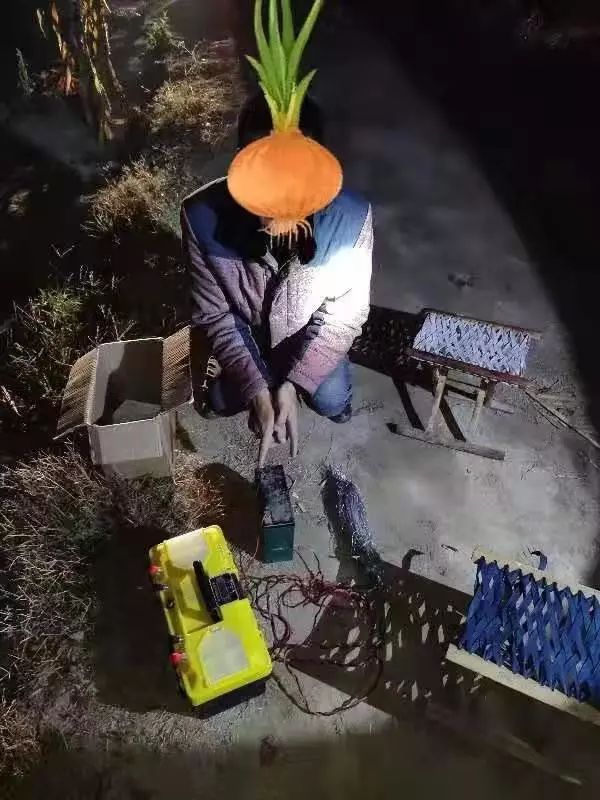 19时许,朝城派出所接到报警称:有两男性在杨登庄农田里私拉电网电兔子