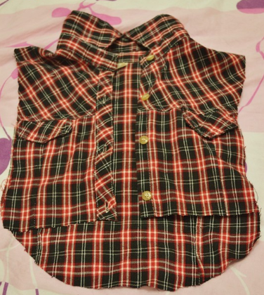 旧衣服给狗狗做小衣服,狗狗:我是全小区最靓的崽