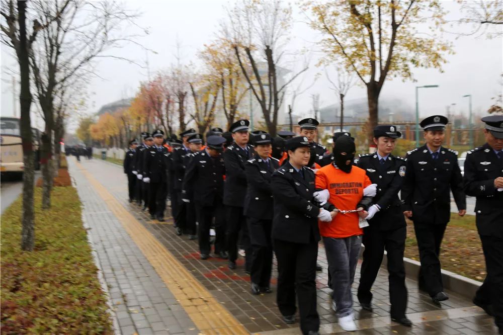 其中97名犯罪嫌疑人被延安警方押解回来受审.