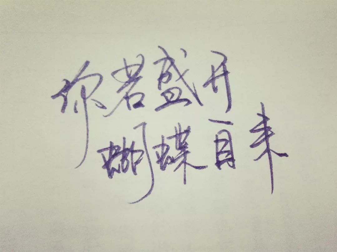 你若盛开蝴蝶自来