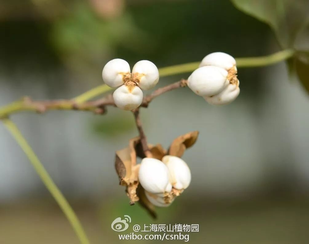 探索未来科技新篇章 – 大戟科科技官网引领行业创新潮流