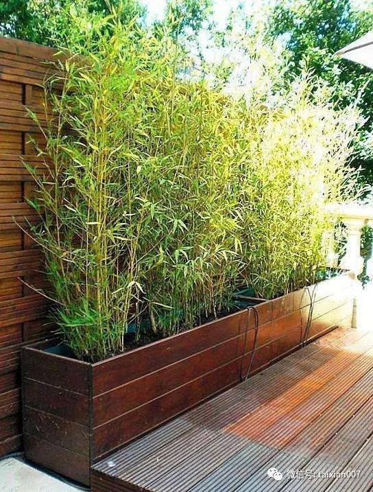 想在自家院子里种竹子,不妨看看这些设计!