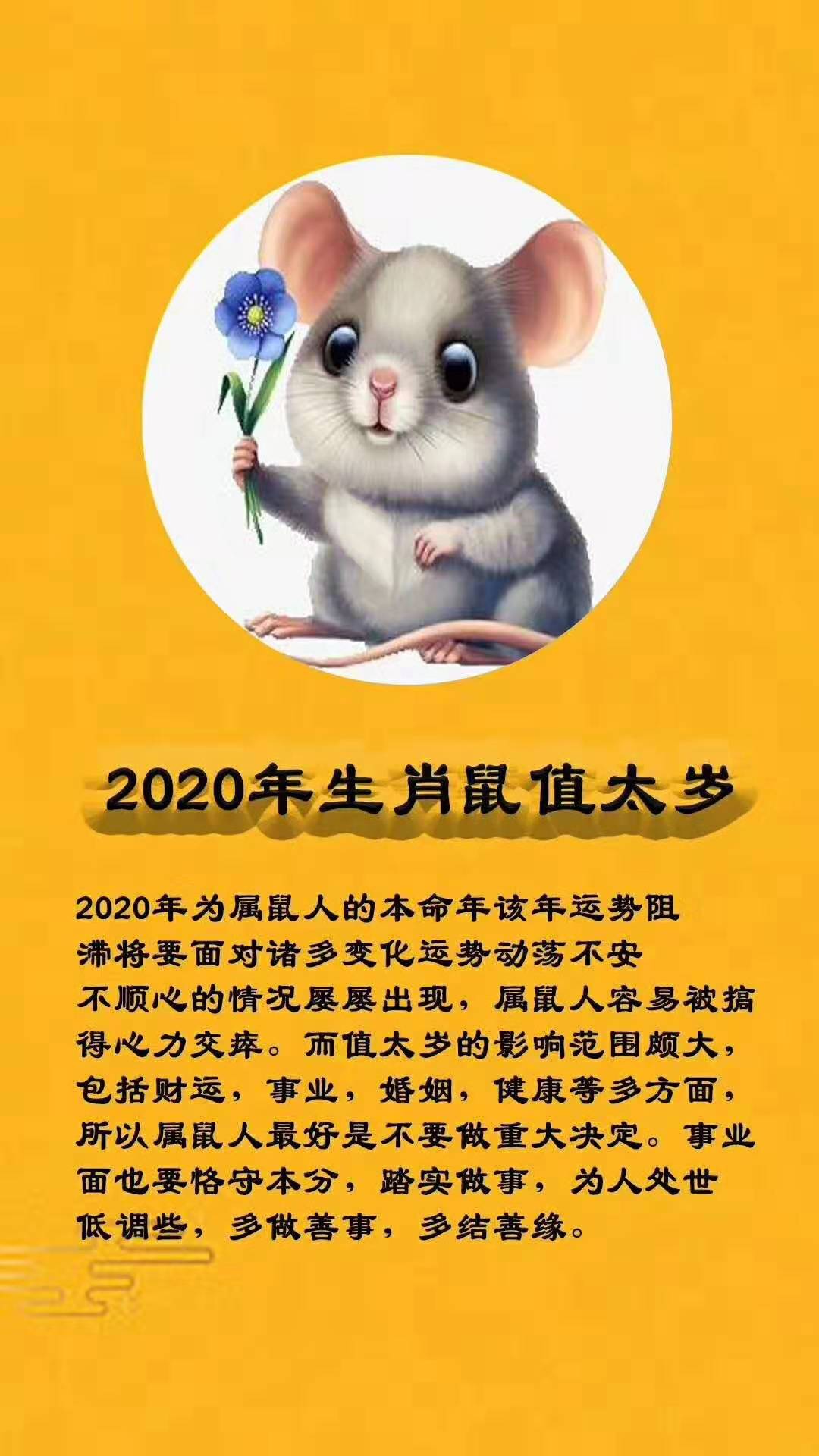 2020年犯太歲的生肖