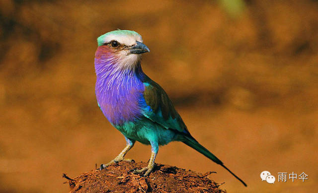 换个环境深呼吸压抑的时候换个角度看世界心累的时候才是永恒的美心里