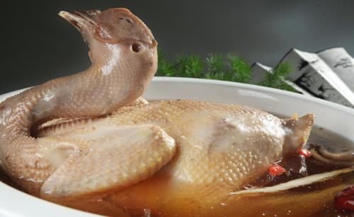 英国野鸡泛滥成灾捕杀一只可得奖金200元