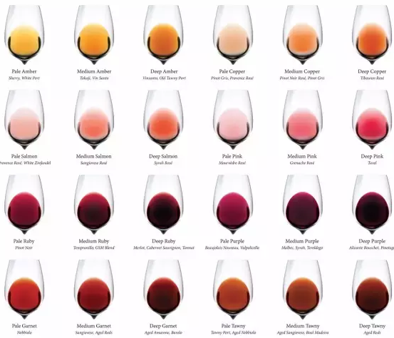 四度红酒如何通过颜色来判断葡萄酒的品质和酒龄