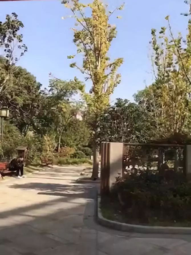 人面锦鲤走红网络网友直呼成精了