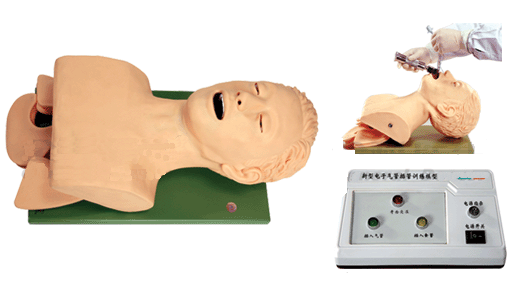 成人气管插管训练模型