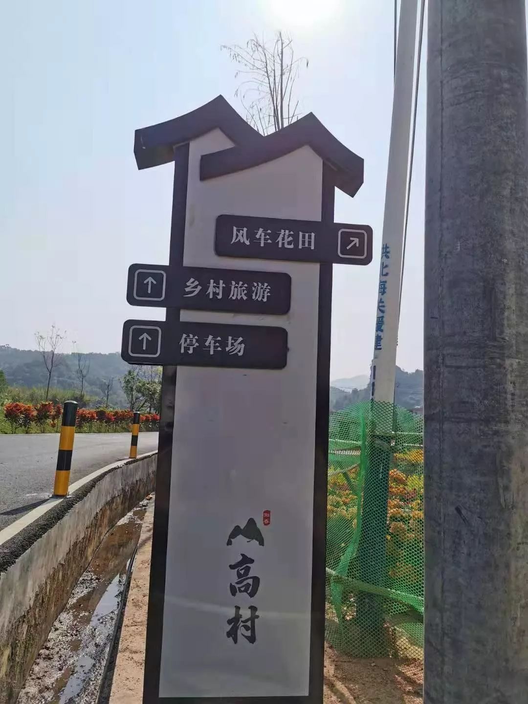 美景爆屏 负离子爆表 野山竹