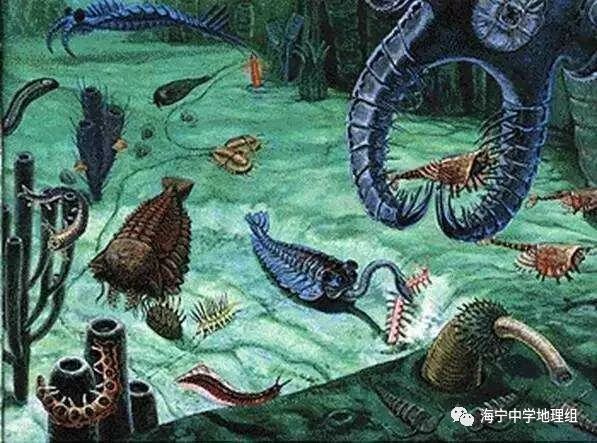 震旦纪大冰期,发生在前寒武纪的末期.