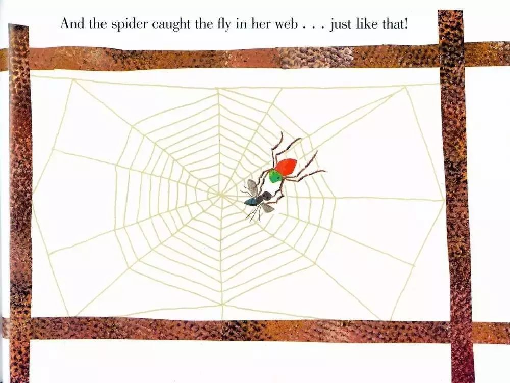 卡尔爷爷经典绘本《the very busy spider 》好忙好忙的蜘蛛_want