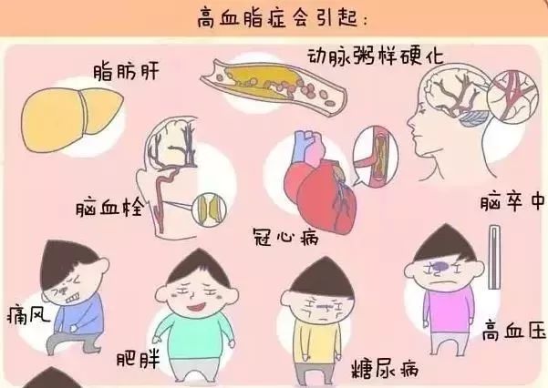 如糖尿病,甲狀腺功能減退,腎病綜合徵等,所以發現高血脂,不僅要尋找