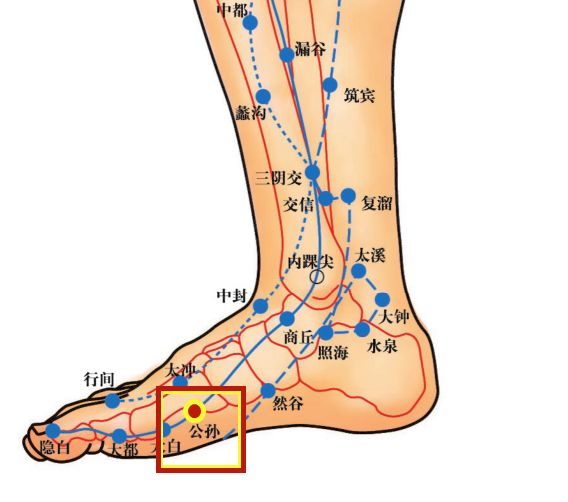 脾经本经腧穴本经腧穴主治脾胃病,妇科病,前阴病及经脉循行部位的其他