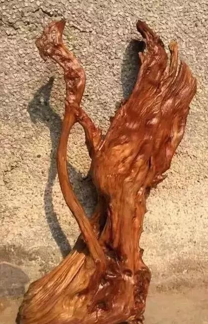 烂树根变极品摆件附打磨过程