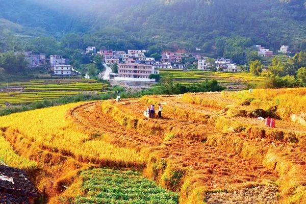 阳春七星村出名了广东100个最佳摄影景点之一