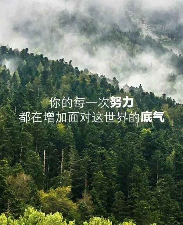 微信很走心的正能量说说,早安励志的经典短句