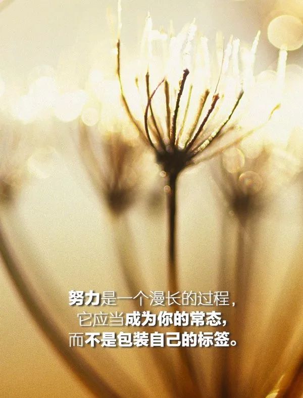 山东专升本真正努力的人都很低调