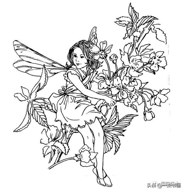 线描花仙子真的好美