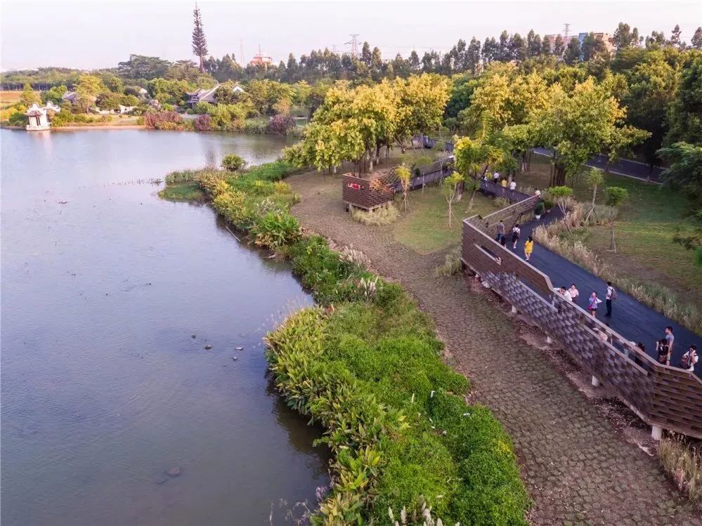 观鸟季到广州新添观鸟栈道自带望远镜很贴心