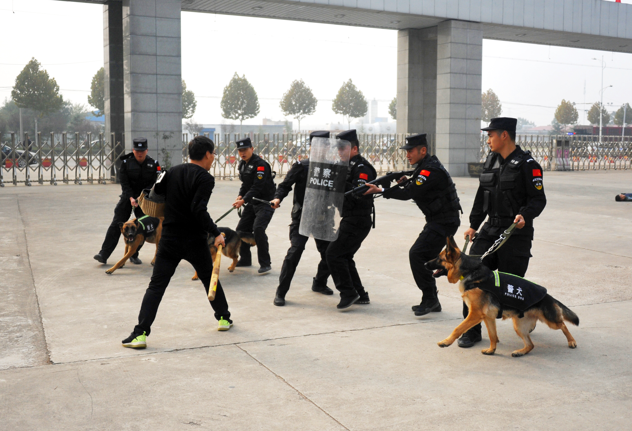 實戰演練以該市可能發生的校園恐怖襲擊事件為背景,重點圍繞反恐防暴