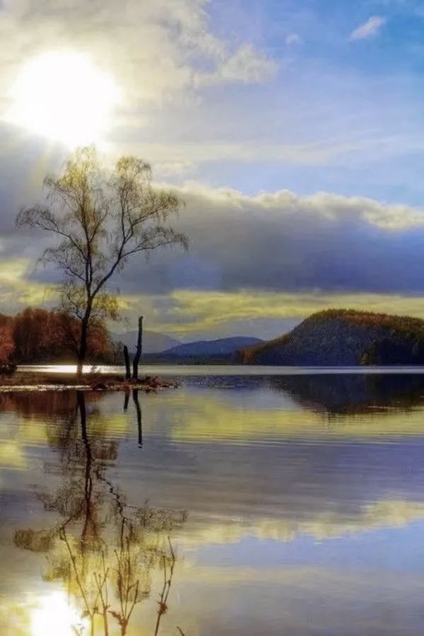 浮世清欢淡然一生