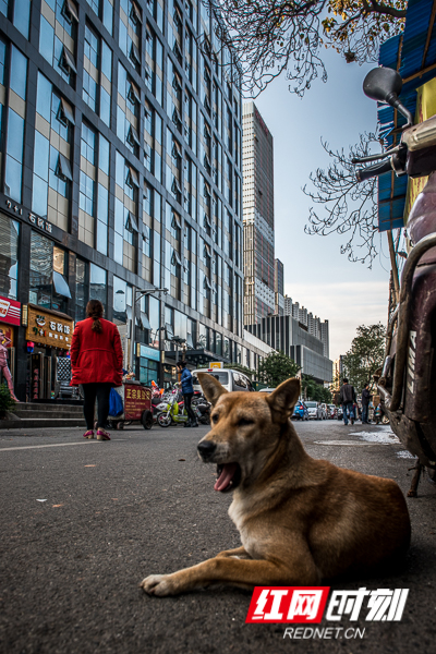 再见旧时光热辣荤腥西长街勾起你长长的回忆组图