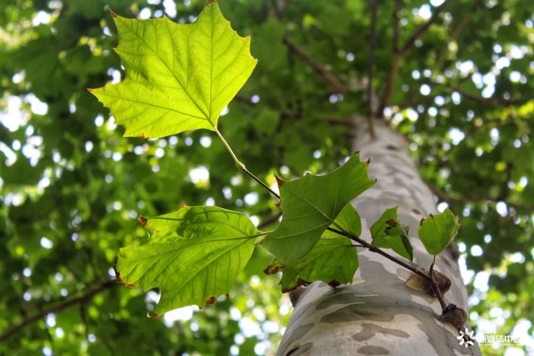 清空购物车教你