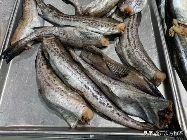 在超市中有时会被叫做"阿拉斯加狭鳕",更多的是以"无头鱼尸"的面目