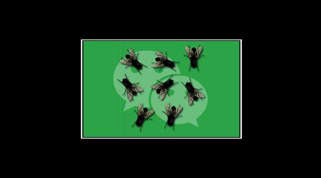 在微信聊天上放一只苍蝇,整蛊好友!_表情