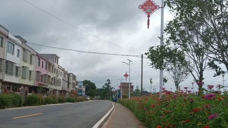 来源:上犹县社溪镇好看返回搜狐,查看更多