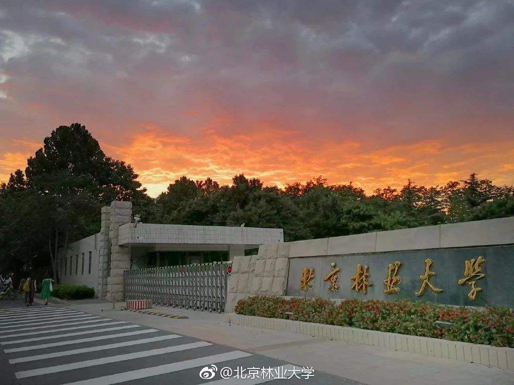 北京林业大学大门图片