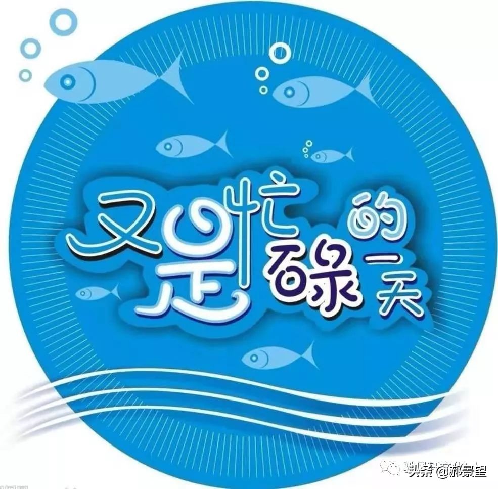 纵观社会大家都在忙忙碌碌鱼都没有例外也许笨,也许不那么灵巧不