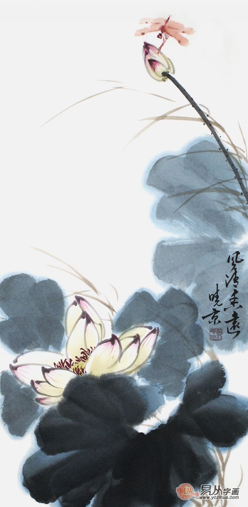 郑晓京老师写意荷花作品《白荷蜻蜓》(作品选自:易从网)