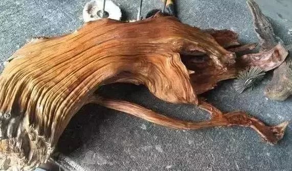 烂树根变极品摆件附打磨过程