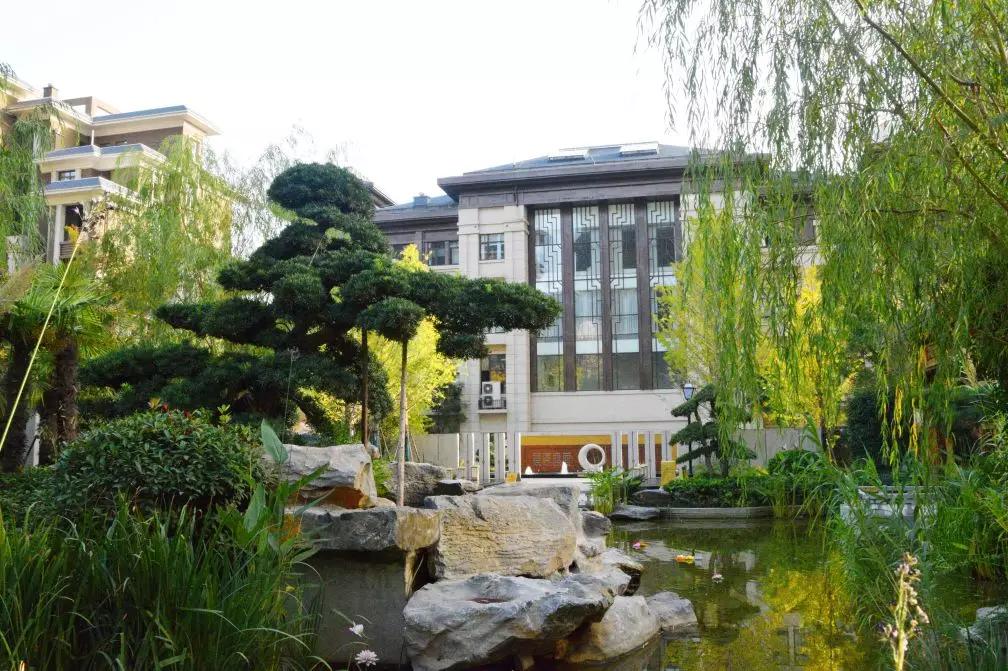 东正·颐和府 | 金秋家书至,幸福正可期!-南阳楼盘网