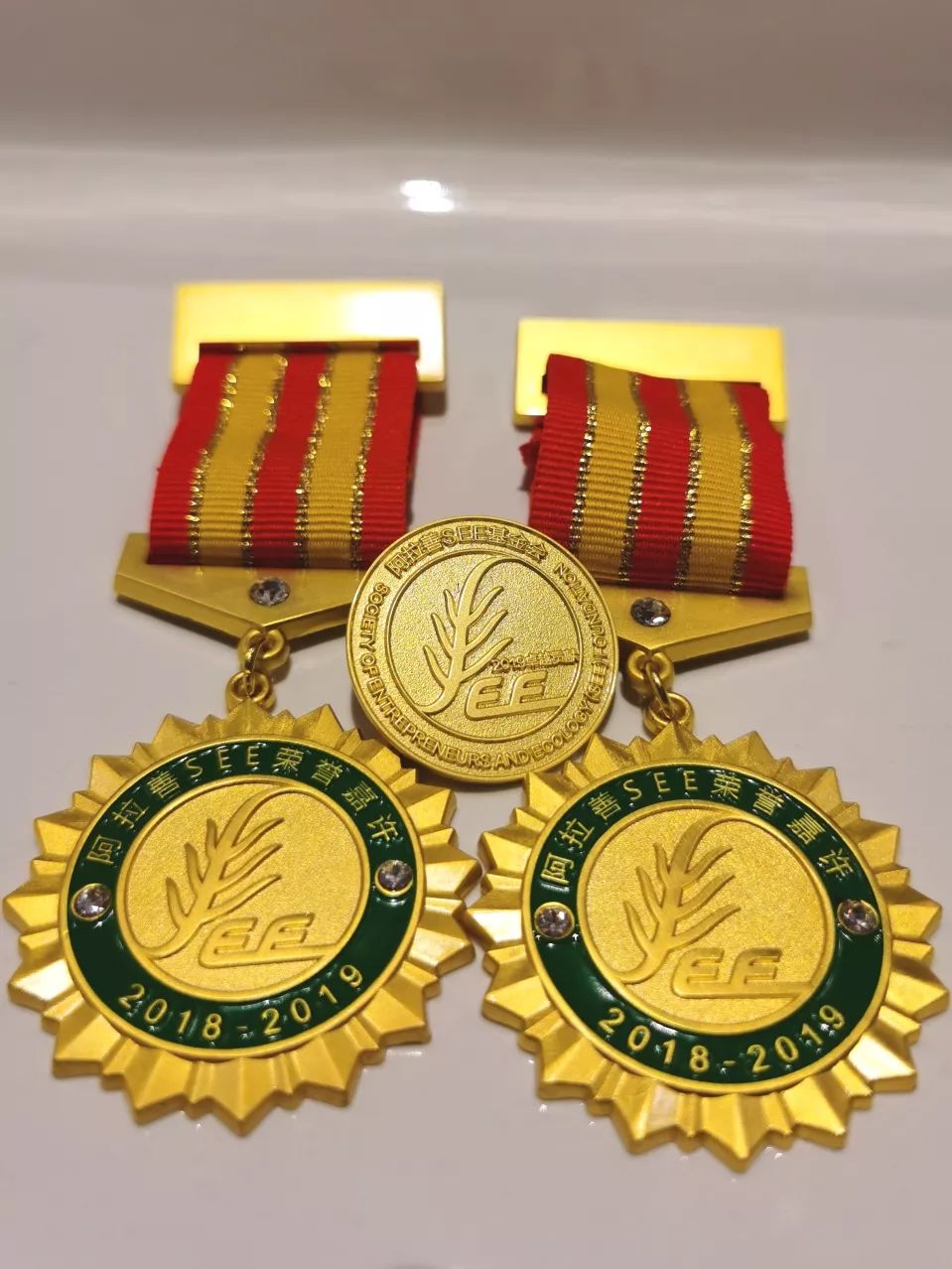 三棵树荣获阿拉善see公益机构卓越贡献等三项年度嘉许