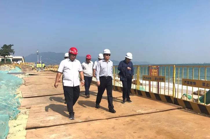 一航局副总经理姜松到深圳东部海堤重建工程检查指导工作