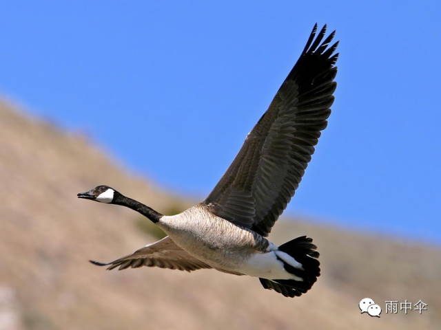 才是永恒的美心里满是阳光浮华在身外容貌乃天成才是魅力十足的人养眼