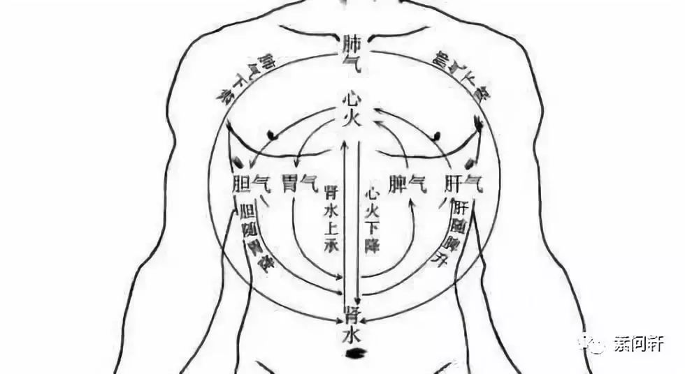 气脉运行图图片