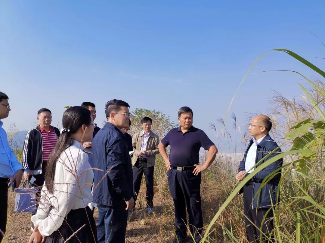 611月5日下午,区财政局长廖永旺到新圳工业园启迈电子科技,比邦,鑫